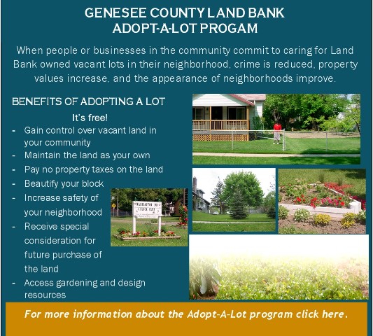 Adopt-A-Lot Program